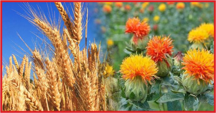 KARAMAN’DA  HAVZA BAZLI DESTEKLENECEK ÜRÜNLER BELİRLENDİ