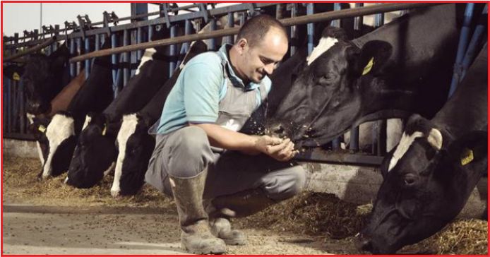 KARAMAN’DA HAYVANCILIK YATIRIMINA YÜZDE 50 HİBE