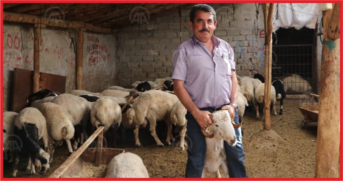 “KARAMAN’DA KURBAN FİYATLARI UCUZ”