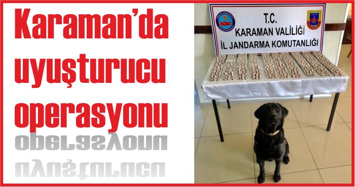KARAMAN'DA UYUŞTURUCU OPERASYONU