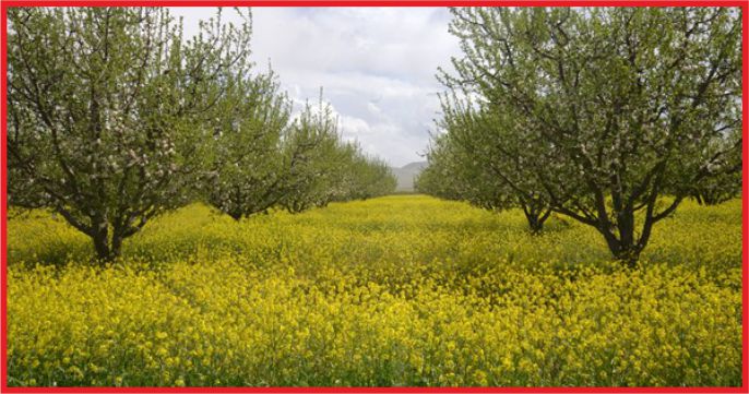 KARAMAN’DAN TARIMA 54 MİLYON LİRA KATKI !