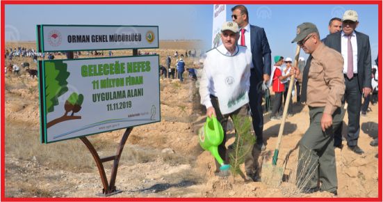 “KARAMAN’IN ORMANA İHTİYACI VAR “