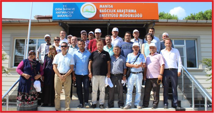 KARAMANLI BAĞCILAR MANİSA’DA