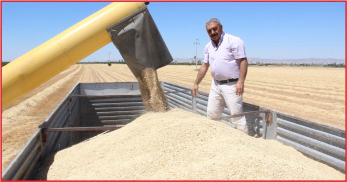 “KAZANAMAYAN ÇİFTCİ, BUĞDAY EKİMİNİ BIRAKIYOR”