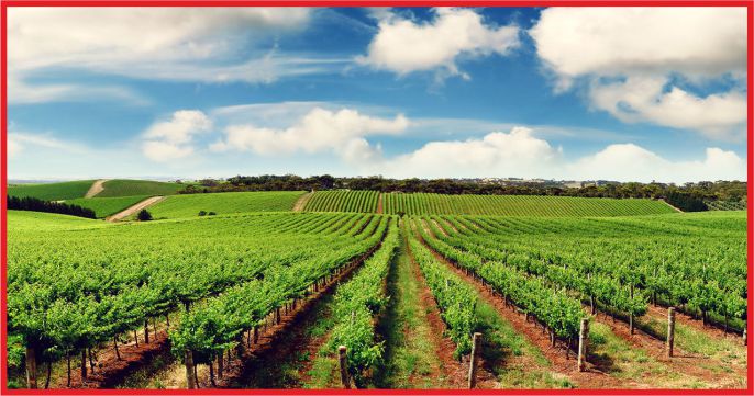 KIRSAL KALKINMAYA 1,2 MİLYAR LİRALIK HİBE