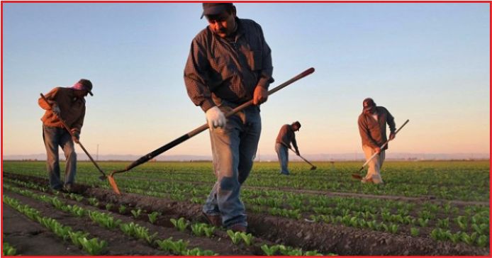 “KIRSALDA YATIRIM YAPILMALI GÖÇ ÖNLENMELİ”