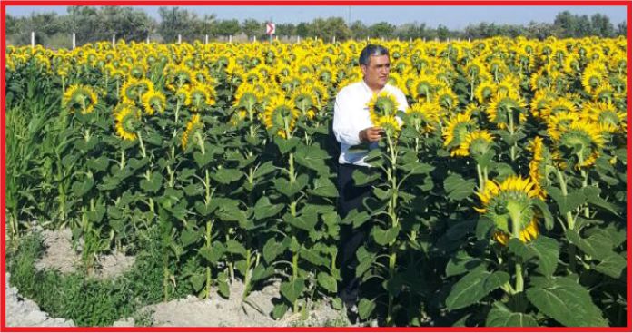 KONUK; “SUSAN SUSAR BİZ KONUŞURUZ, İNİSİYATİFİ ALIR, AYÇİÇEĞİ ÜRETİCİSİNİ KORURUZ”