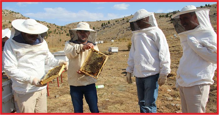 KOP ARICILIK MERKEZLERİ OLUŞTURUYOR