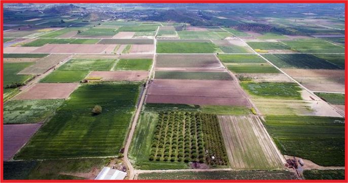 KOP BÖLGESİNDE 2 MİLYON 98 BİN 10 DEKAR ALANDA TOPLULAŞTIRMA