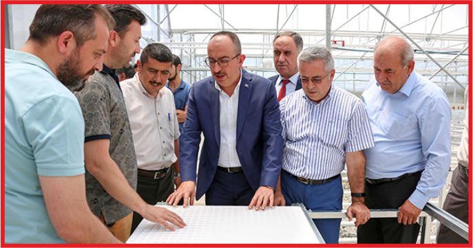 KOP BÖLGESİNİN FİDELERİ MERAM'DA YETİŞECEK