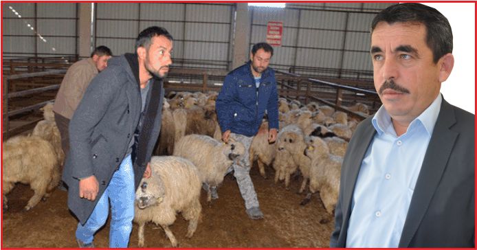 “KÖYÜNE GERİ DÖNENE 300 KOYUN”