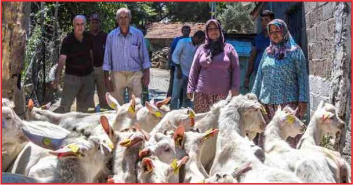 KÜÇÜK AİLE İŞLETMELERİNE 1.3 MİLYAR LİRA DESTEK