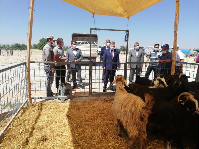 “KÜÇÜKBAŞ’DA HEDEFİMİZ 1 MİLYON”