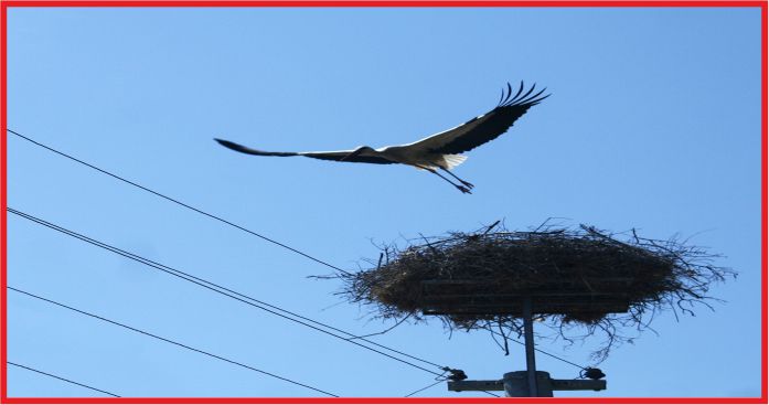 MEDAŞ’TAN DOĞA DOSTU ÇÖZÜMLER!