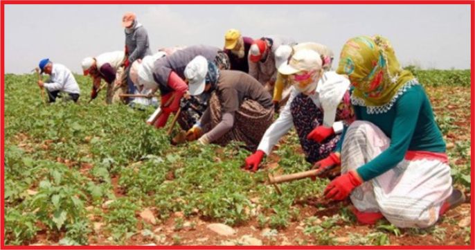 MEVSİMLİK İŞÇİLER İÇİN YENİ ÖNLEMLER ALINDI