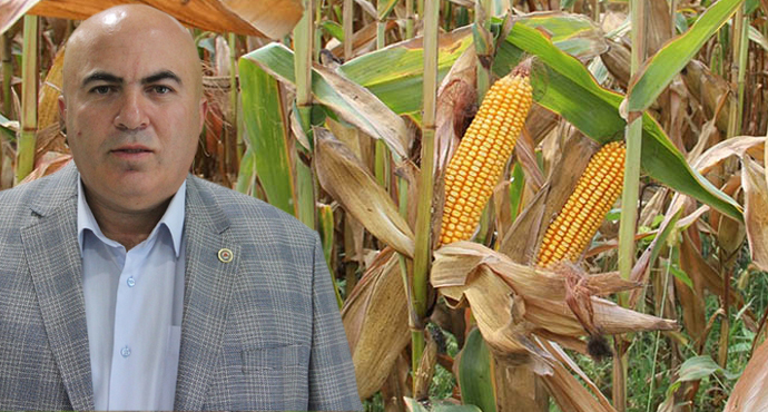 “MISIR ÜRETİCİSİNİN AHINI ALMAYIN”