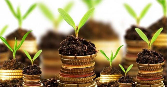 ORGANİK TARIM DESTEĞİ BAŞVURULARINDA SON GÜN 30 MART