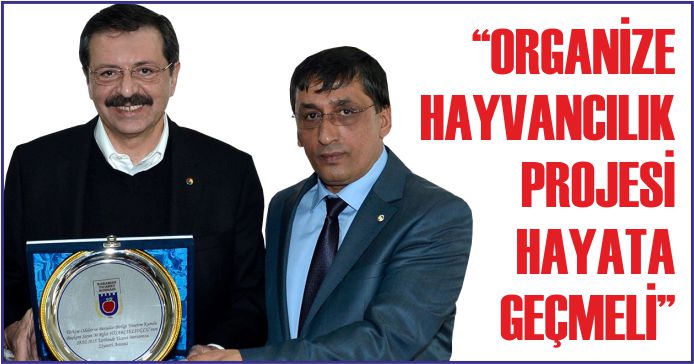 “ORGANİZE HAYVANCILIK PROJESİ HAYATA GEÇMELİ”