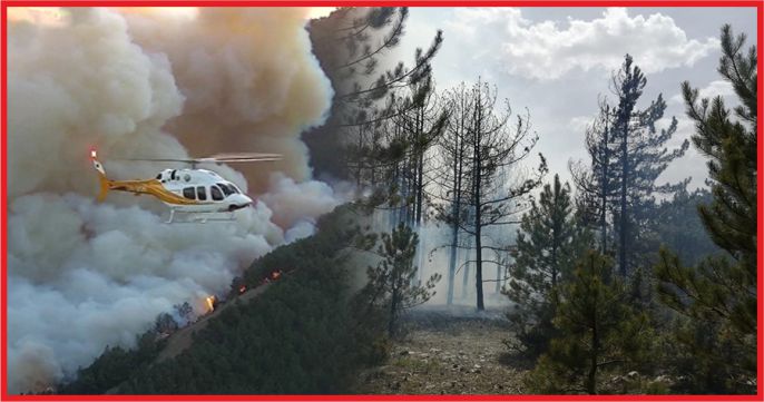 ORMANI KORUMAK VATANI KORUMAKTIR !