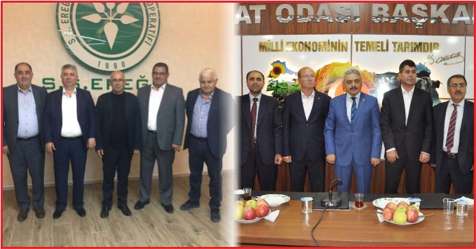 PANCAR EKİCİLERİNDE BÜYÜK YARIŞ