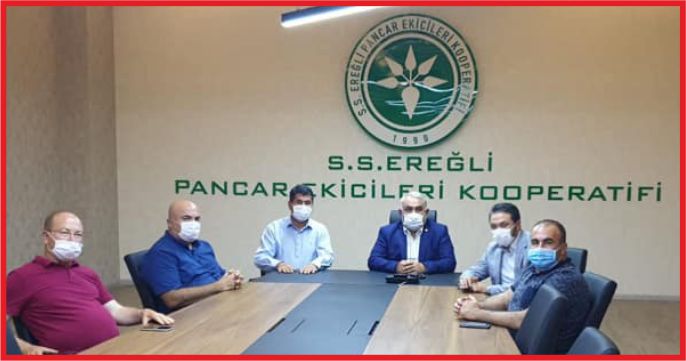 PANCAR’IN SORUNLARINA ARAYIŞ !