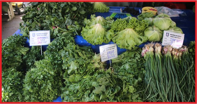 PAZAR YERLERİNDE TEK TİP ETİKET UYGULAMASI