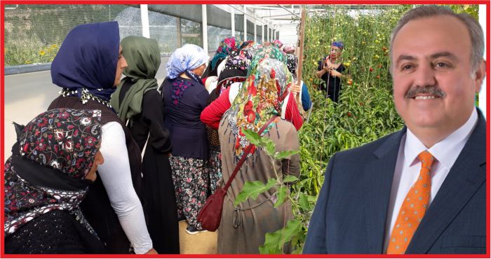 “SARIVELİLER DOĞAL ÜRÜNLERİ GELİYOR”