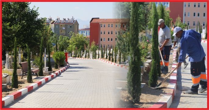 ŞEHİR MEZARLIĞINA 500 ADET KARA SELVİ AĞACI DİKİLDİ