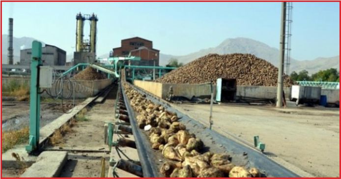 ŞEKER KOTALARI AÇIKLANACAK !