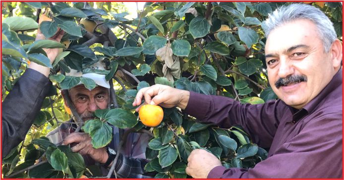 “ŞİFA KAYNAĞI CENNET MEYVESİ !”