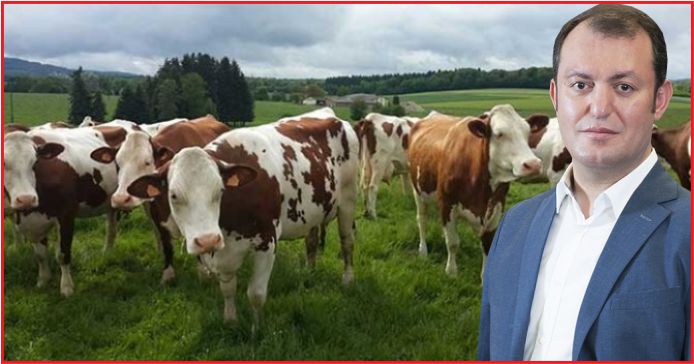 ŞİMŞEK BİSKÜVİ HAYVANCILIKTA DA LİDER !