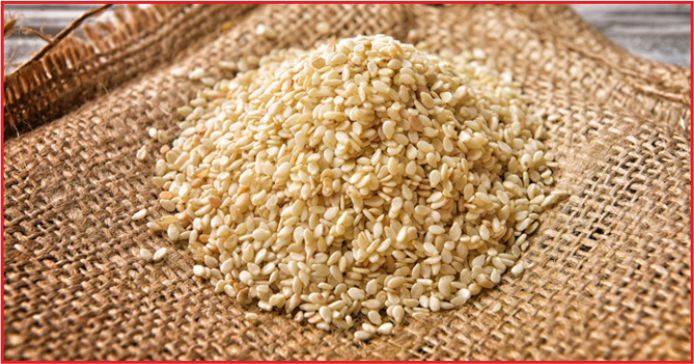 SUSAM İTHALATINDA GÜMRÜK VERGİSİ SIFIRLANDI