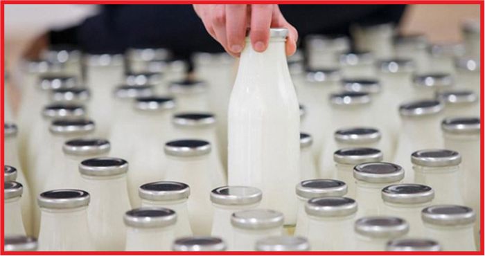 SÜT PRİM DESTEĞİ 25 KURUŞA ÇIKTI