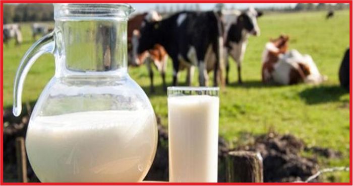 SÜT ÜRETİCİLERİ İSYANDA !