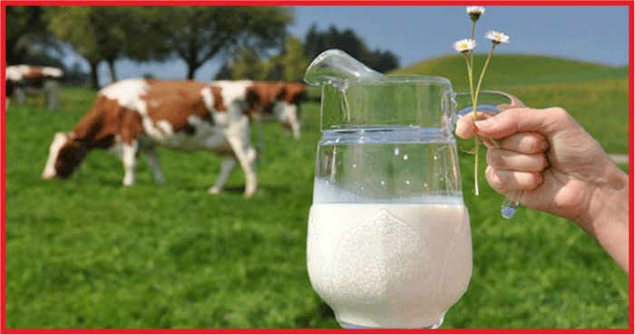 SÜT ÜRETİCİLERİNDEN 14 MADDELİK TALEP