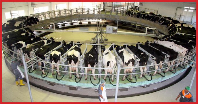 “SÜTTE EN DÜŞÜK ÜRETİCİ FİYATI 2.8 LİRA OLMALI”