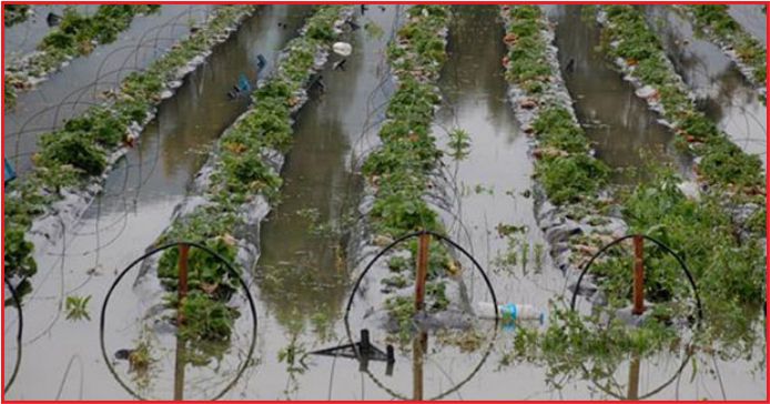 TABİİ AFETLERDEN ZARAR GÖREN ÇİFTÇİLERİN BORÇLARI ERTELENDİ