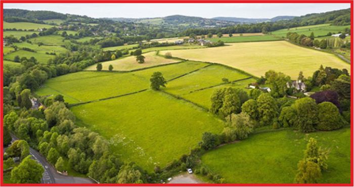 TAHSİSLİ HAZİNE TAŞINMAZLARI EKONOMİYE KAZANDIRILACAK