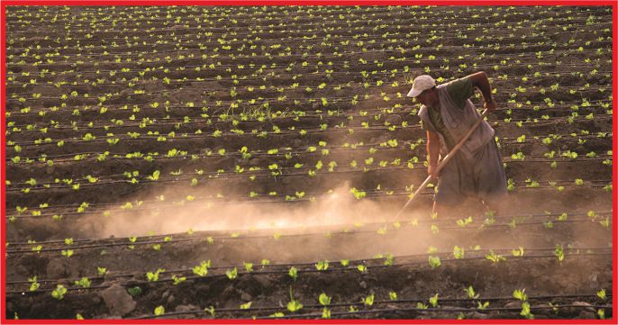 “TARIM BİRİNCİ ÖNCELİĞİMİZ OLMALIDIR”