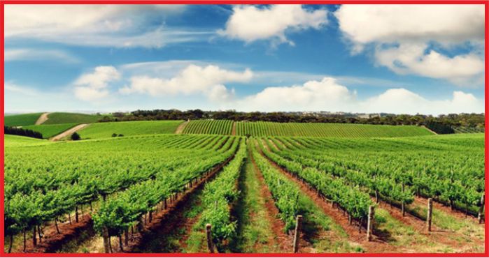 TARIM KART İÇİN İMZALAR ATILDI