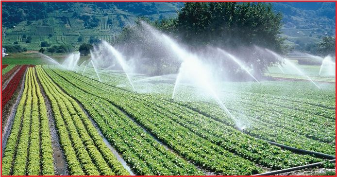 TARIMA 14.8 MİLYARLIK’DEV DESTEK’