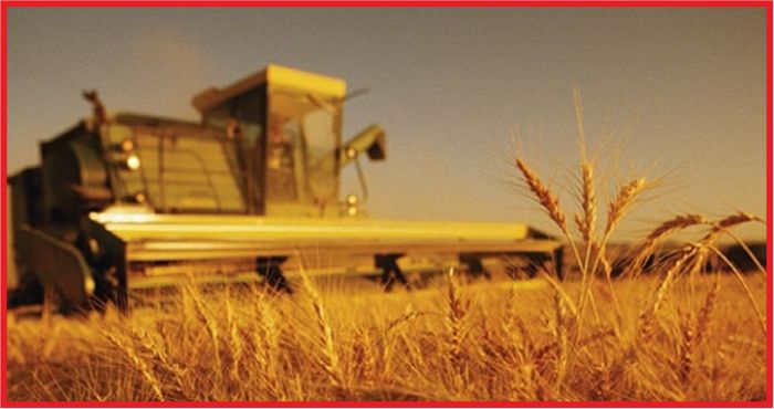 “TARIMA HER TÜRLÜ DESTEK VERİLMELİ”