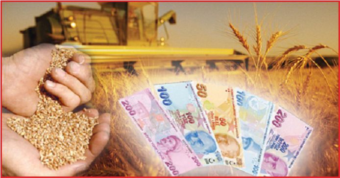 TARIMDA DESTEK VE PROJE YILI !