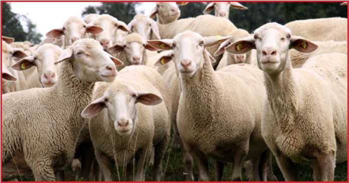 TARIMSAL KREDİLERDE BİR İLK !