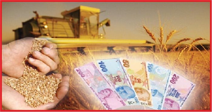 TARIMSAL ÜRETİM VE İHRACAT DESTEKLERLE BÜYÜYECEK