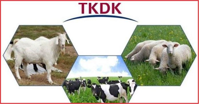 TKDK’DAN KARAMAN’A MÜTHİŞ HİBE !