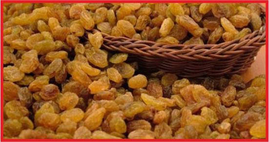 TMO KURU ÜZÜM ALIMINA BAŞLAYACAK