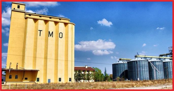 TMO KURU ÜZÜM ALIMLARINA BAŞLADI