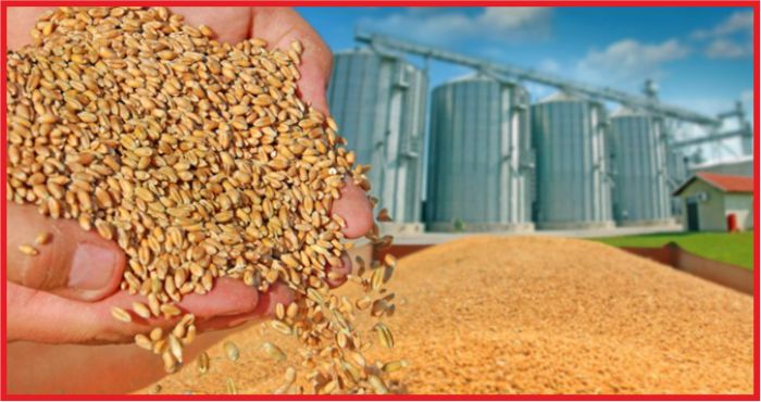 TMO&#039;YA SIFIR GÜMRÜKLE TAHIL İTHALATI YETKİSİ