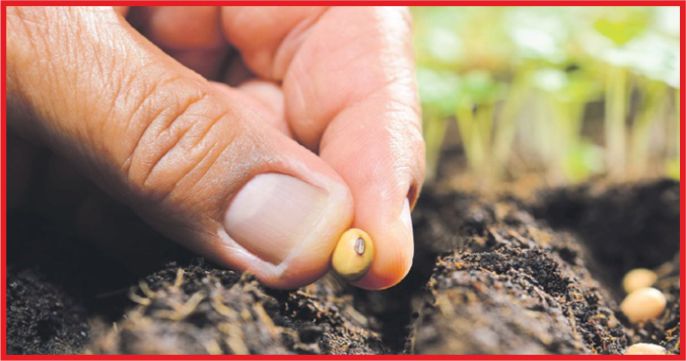 TOHUM BEDELİNİN YÜZDE 75’İ HİBE!